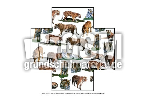 Formen-Tiger-1-7.pdf